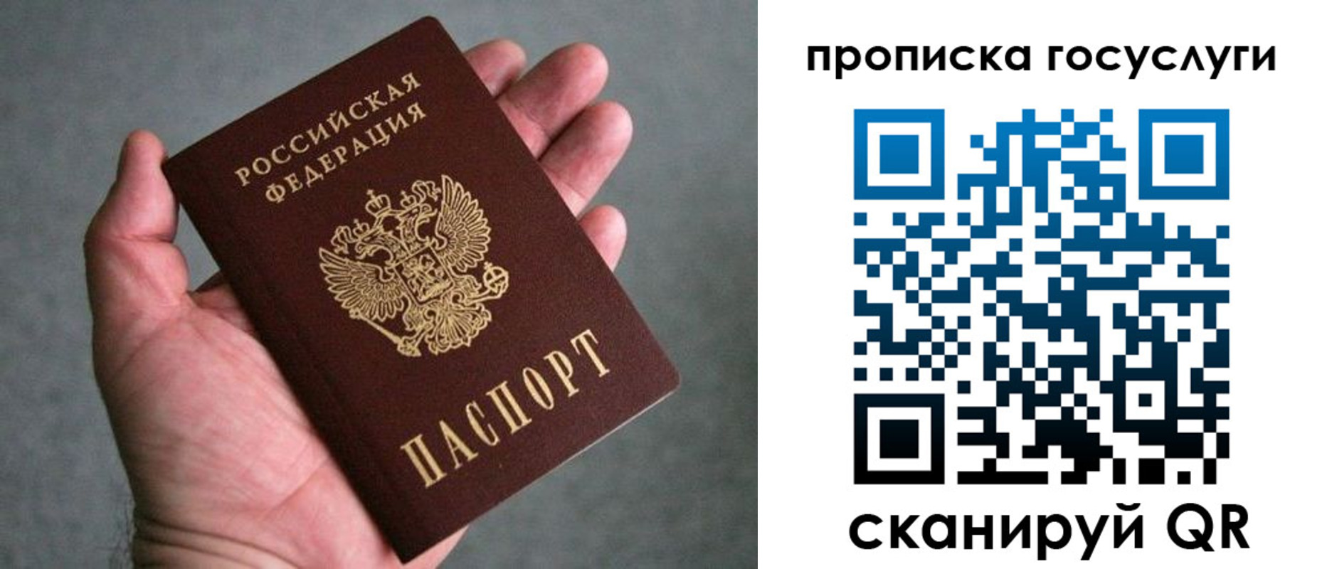 прописка 2025 в Тосно